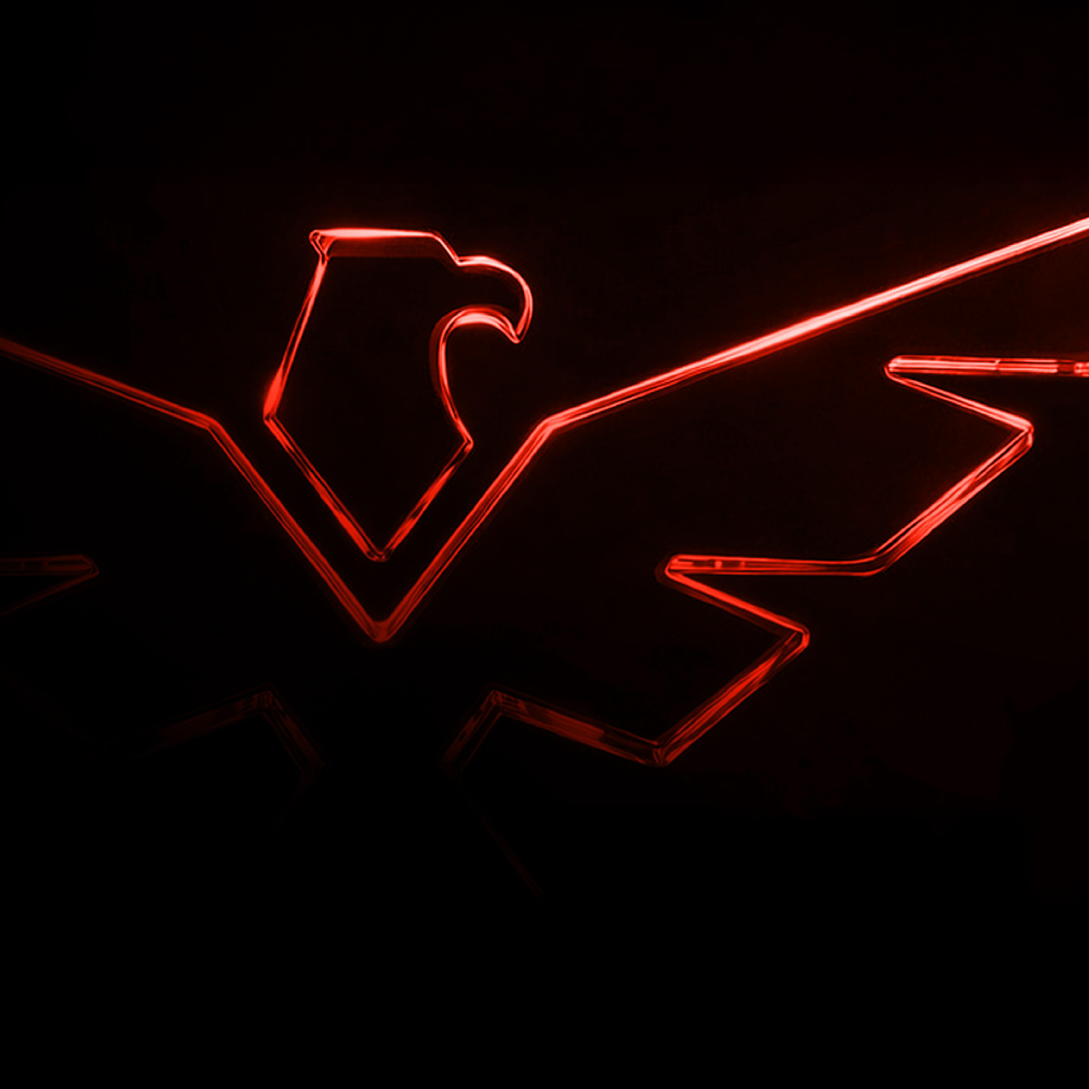 Invictus Performance Lab, brand identity work